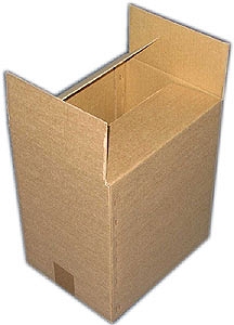 Karton FILE (28,5x21x32,6cm)